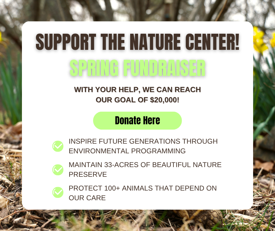 Donate today to support the Nature Center in our spring fundraiser.